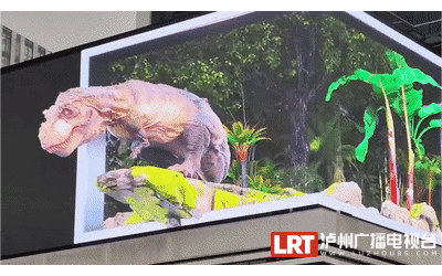 數字光魔裸眼3D總經理 陳宇:瀘州首塊裸眼3D大屏亮相